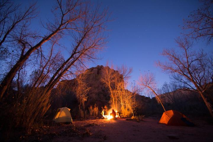a fire in a forest